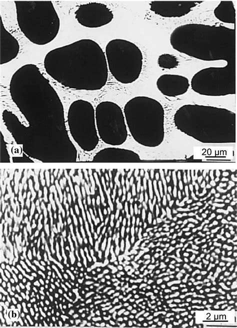 Microstructure Of The As Solidified AlCeNi Alloys A A14Ce2Ni