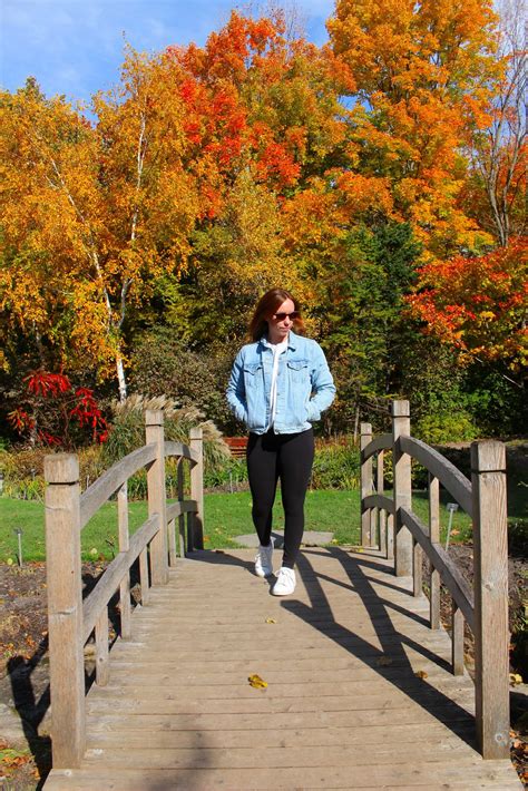 How to subscribe to the best montreal newspapers online 1