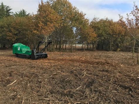 Comment Nettoyer Un Terrain En Friche Abandonn Avec Des Ronces Et De