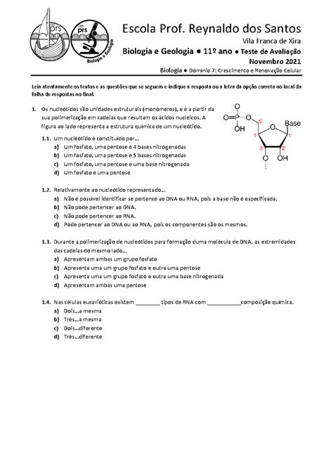 Bio Geo 11 Teste DNA Sintese Proteinas Mitose 2021 Correc Escola Prof