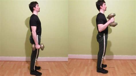 Hammer Curl Form, Benefits, and Muscles Worked