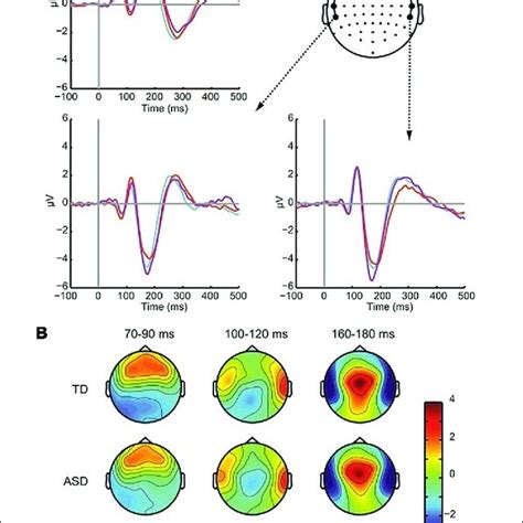 Visual Evoked Potentials A ERP Waveforms In Response To The Visual