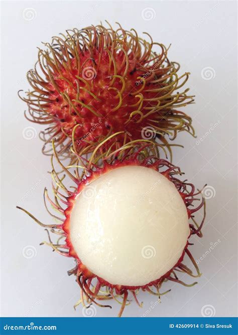 Rambutan stock photo. Image of sweet, isolate, rambutan - 42609914