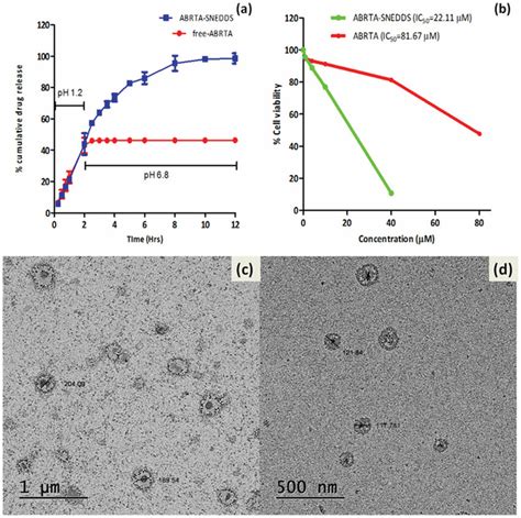 In Vitro Experiment Such As Release Cell Cytoxicity And Microscopic