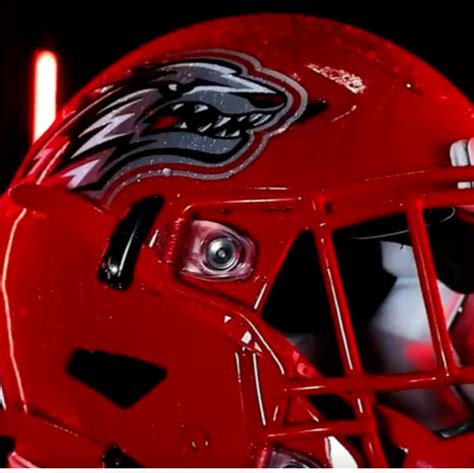 New Mexico Helmet History