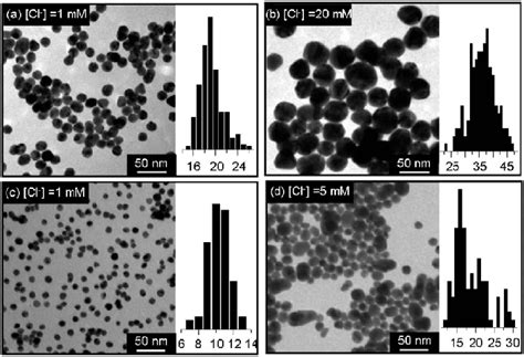 Tem Images And Size Distribution Histograms Of The Gold Nanoparticles