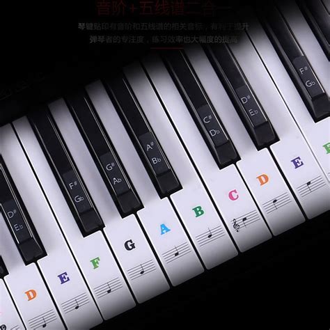 Removable Piano Key Stickers – JOOPZY