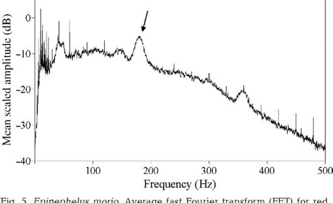 Figure From Sound Production Of Red Grouper Epinephelus Morio On The