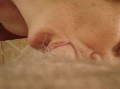 3 Mature French Couple Porn Pictures XXX Photos Sex Images 3858392 PICTOA