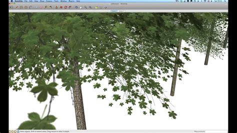 Sketchup 3d Trees Youtube