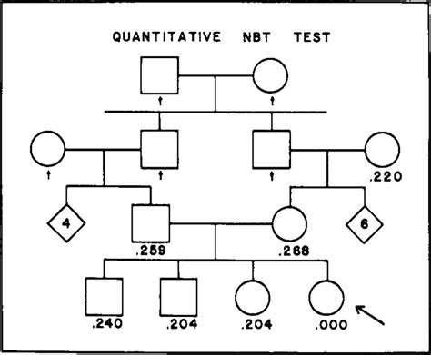 Quantitative Nitroblue Tetrazolium Test In Chronic Granulomatous