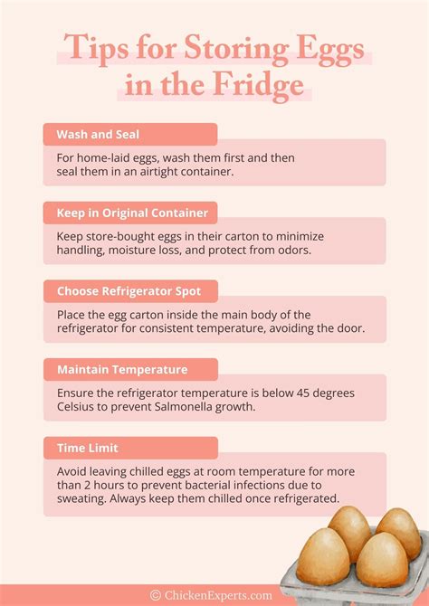 How Long Can You Leave Eggs Out Of The Fridge Explained: From A to...