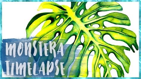 Monstera Deliciosa Watercolor Speedpaint Youtube