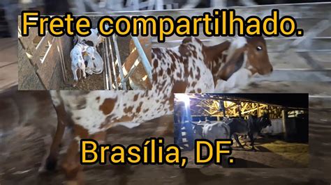 Frete Compartilhado Bras Lia Df Youtube