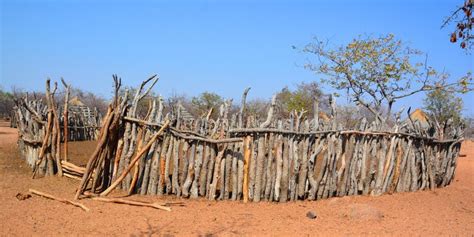 158 Cattle Kraal Stock Photos - Free & Royalty-Free Stock Photos from Dreamstime