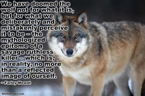 Never Cry Wolf Quotes. QuotesGram