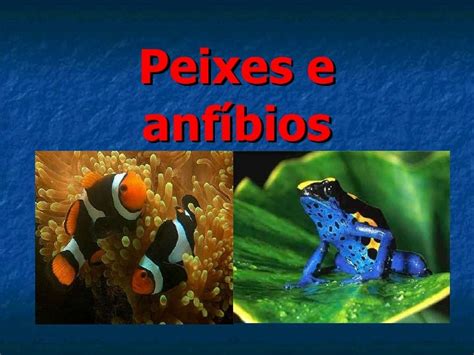 Peixes E Anfíbios1