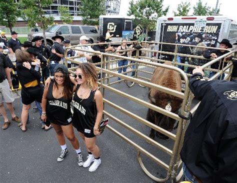 CU Boulder: Buff's live mascot Ralphie V retiring