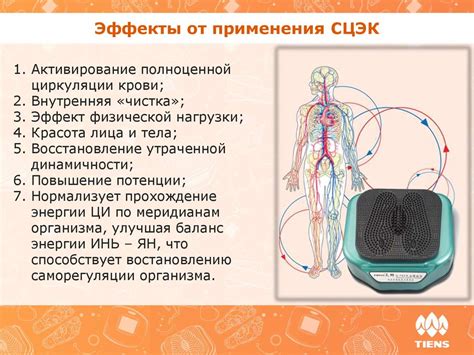 Массажер для улучшения циркуляции крови - презентация онлайн