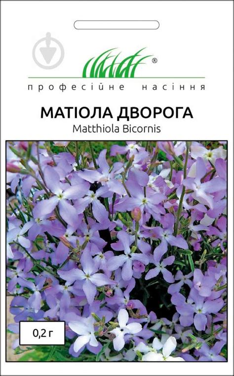 ᐉ Семена Професійне насіння маттиола двурогая 0,2 г • Купить в Киеве ...