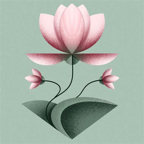 Lotus Art Procreate Illustration Flower Plans Aastiaa