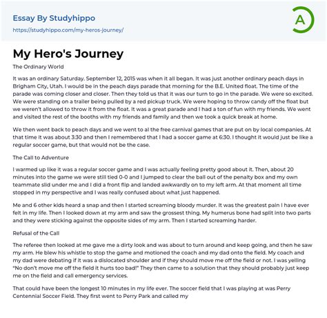 My Heros Journey Essay Example StudyHippo