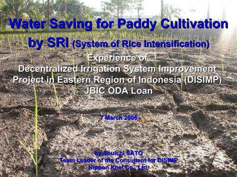 Water Saving For Paddy Cultivation By Sri Experience Of