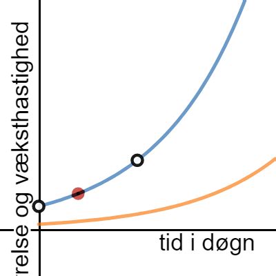 Differentialligninger 12 Desmos