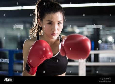 Portrait of female Chinese boxer Stock Photo - Alamy