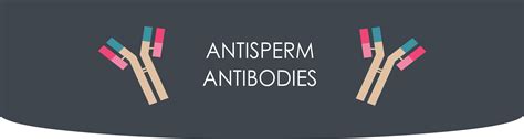 Team:Montpellier/Antisperm/antibodies - 2018.igem.org