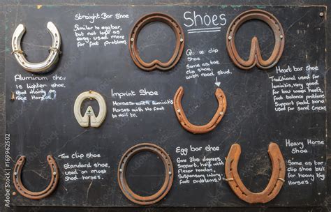 Horseshoe Types And Uses at Diann Whitehair blog