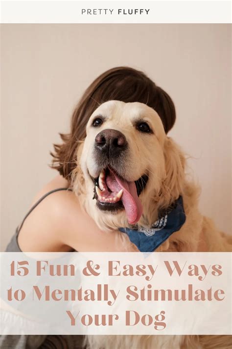 15 Fun And Easy Ways To Mentally Stimulate Your Dog Pretty Fluffy The