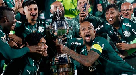 Botafogo Negocia Jogador Campe O Da Libertadores Pelo Palmeiras