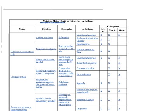 1 Proyecto Challenge Matriz De Metas Objetivos Estrategias Y