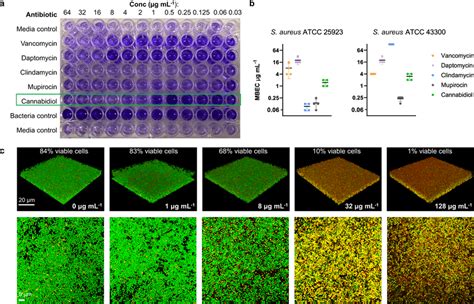 Anti Biofilm Activity Of Cannabidiol Minimum Biofilm Eradication