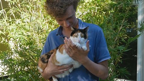 Fileman Holding Calico Cat Wikimedia Commons