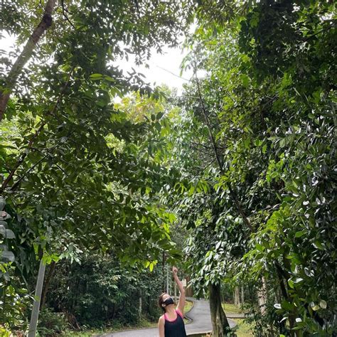 Yishun Park: Quaint Nature Spot In The North With Spiral Lookout Tower