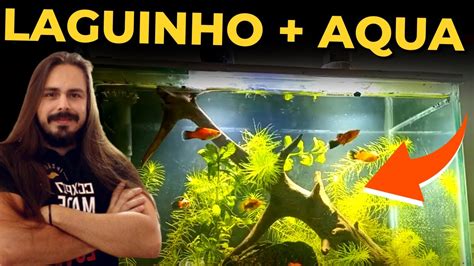 AQUÁRIO E LAGUINHO PLANTADO DO INSCRITO CLÁUDIO Mr Betta YouTube