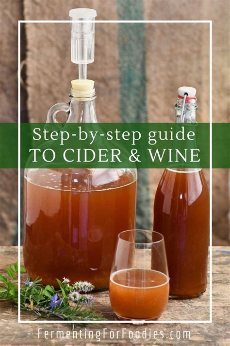 A Step By Step Guide To Making Wine And Hard Cider Video Wine