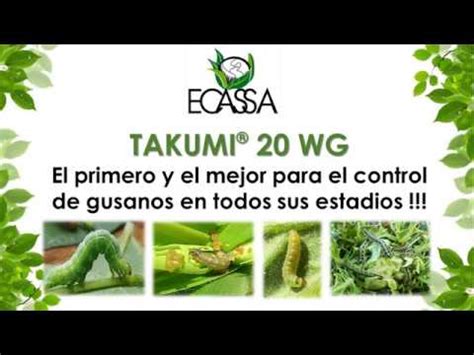 Takumi® 20 WG - YouTube