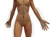 D Acupuncture Naked Man D Model Cgtrader