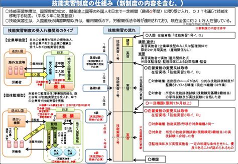 外国人技能実習機構と技能実習法改正について