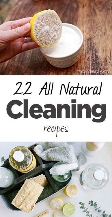 22 All Natural Cleaning Recipes • Organization Junkie