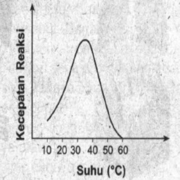 Perhatikan Grafik Yang Menunjukkan Pengaruh Suhu T