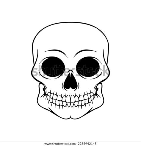 Human Skeleton Skull Logo Skull Silhouette Stock Vector (Royalty Free ...