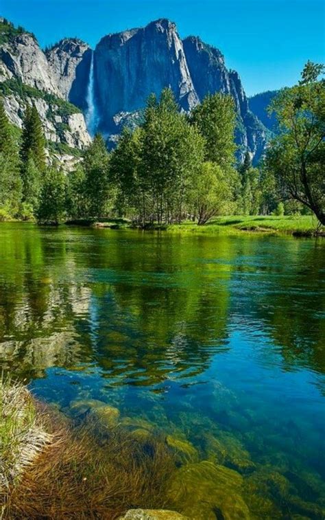 Красивые Пейзажи Фото Вертикальные — Картинки фотографии