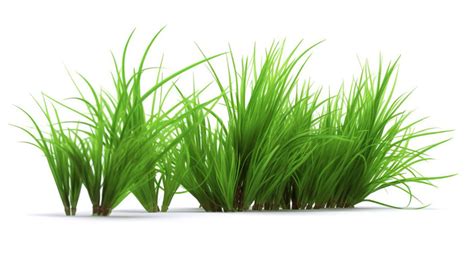 White Grass On A Background Backgrounds | JPG Free Download - Pikbest