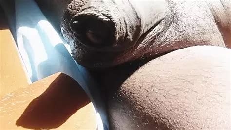 Gratis Grandpa Gay Pornivideo S 2024 XHamster