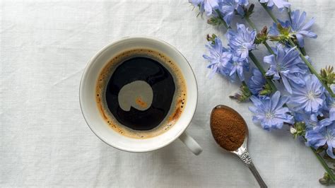 9 Best Chicory Coffee Brands In 2022