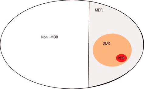 représentation des multirésistants de type PDR XDR et MDR Magiorakos